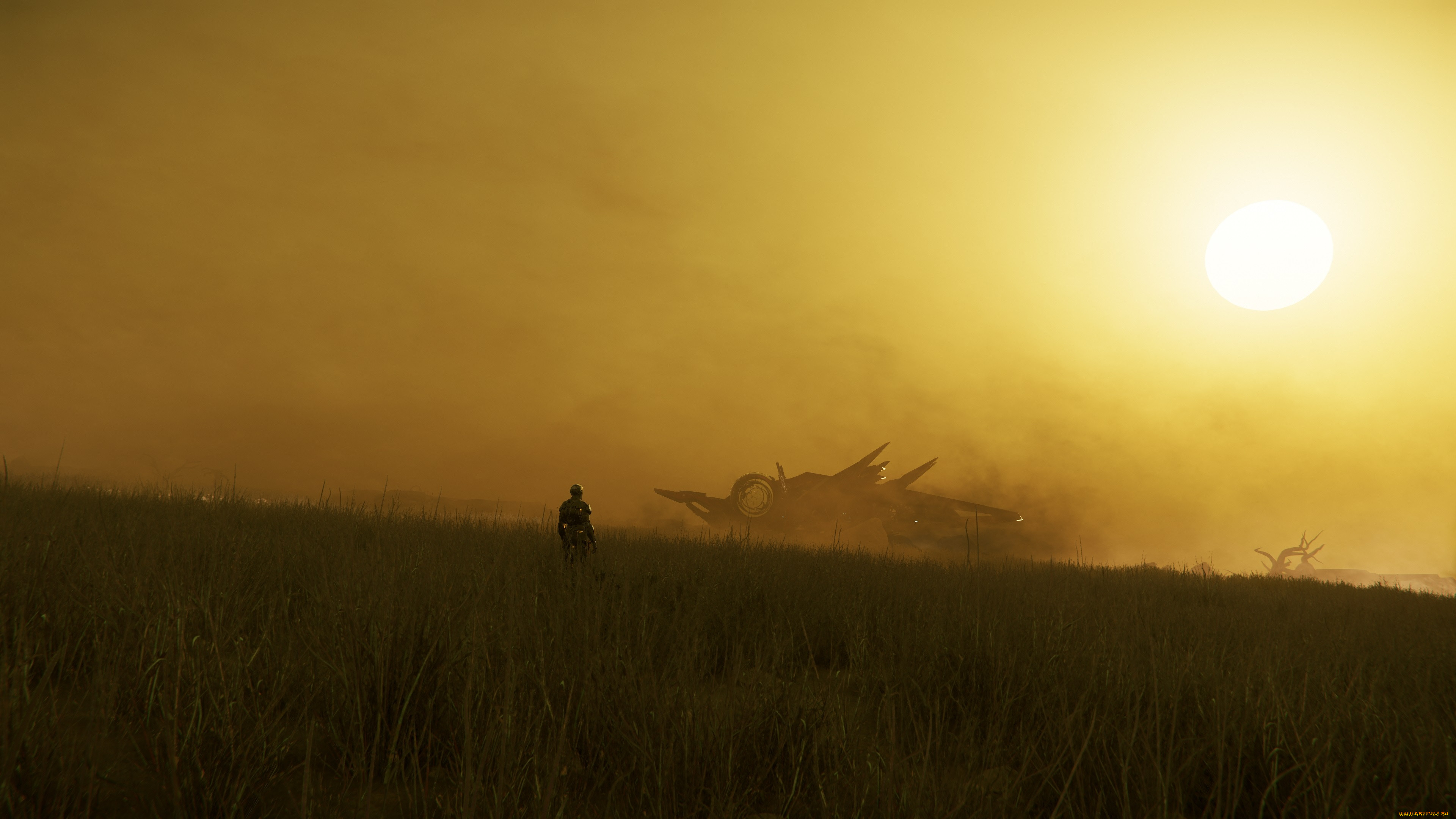  , star citizen, star, citizen